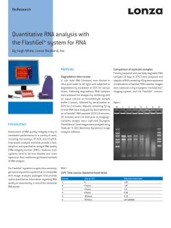 Quantitative RNA analysis with the FlashGel - BioResearch