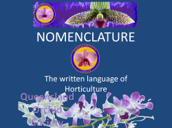 Nomenclature - Queensland Orchid International