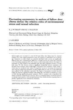 Fluctuating asymmetry in antlers of fallow deer (Dama dama): the