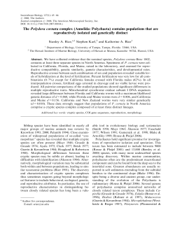 The Polydora cornuta complex (Annelida: Polychaeta