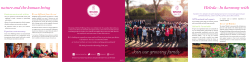 our brochure