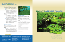 invasive aquatic plants - the National Sea Grant Library