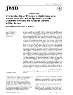 Over-production of Proteins in Escherichia coli