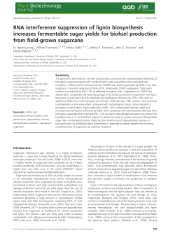 RNA interference suppression of lignin biosynthesis increases