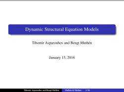 Dynamic Structural Equation Models