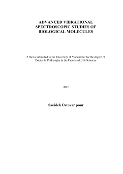 advanced vibrational spectroscopic studies of biological molecules