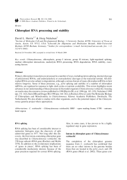 Chloroplast RNA processing and stability