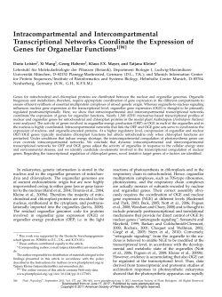 Intracompartmental and Intercompartmental