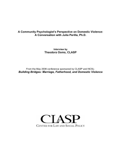 A Community Psychologist`s Perspective on Domestic Violence: A