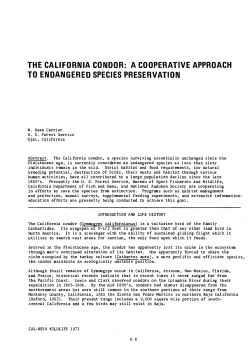 THE CALIFORNIA CONDOR: A COOPERATIVE APPROACH TO