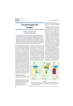 REVIEWS Non-mitochondrial ATP transport