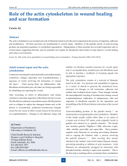 Role of the actin cytoskeleton in wound healing