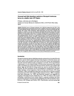 Seasonal and tidal abundance patterns of