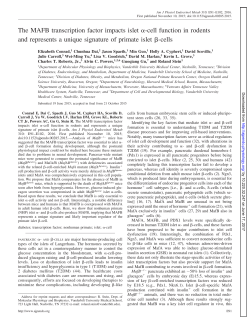 The MAFB transcription factor impacts islet