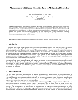 Measurement of Chili Pepper Plants Size Based