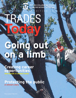 Creating career opportunities Protecting the public