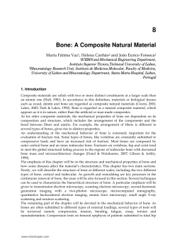 Bone: A Composite Natural Material