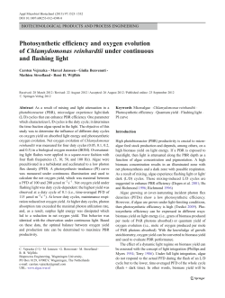 Photosynthetic efficiency and oxygen evolution of Chlamydomonas