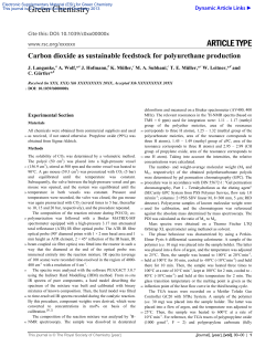 20131024 CO2-PETs for polyurethanes - SI - final