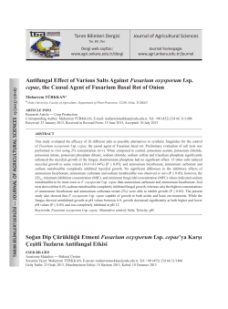 Antifungal Effect of Various Salts Against Fusarium oxysporum f.sp