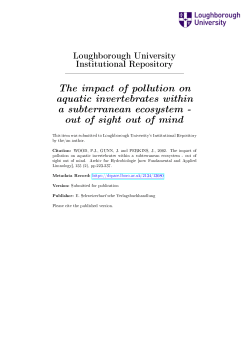 Archiv submitted - Loughborough University Institutional