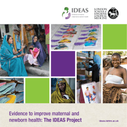 the IDEAS project overview leaflet