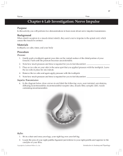 Chapter 06 &ndash; Lab Activity