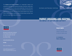PARROt BREEdInG And KEEPInG