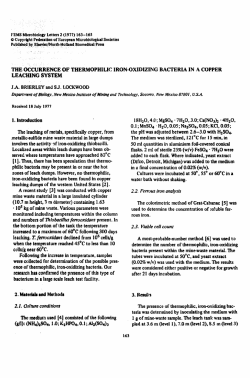 The occurrence of thermophilic iron-oxidizing bacteria in a copper