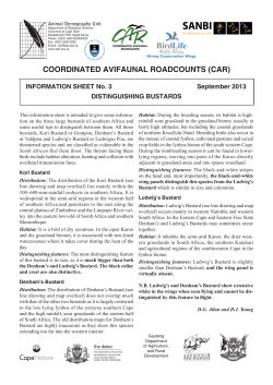 coordinated avifaunal roadcounts (car)