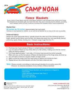 Fleece Blankets - Lutheran Social Service of Minnesota