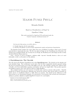 Major Fungi Phyla