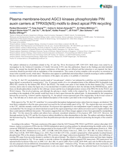 motifs to direct apical PIN recycling - Development