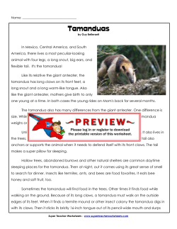 Tamanduas - Super Teacher Worksheets