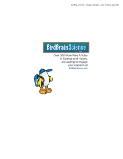 Building Ammonia - BirdBrain Science