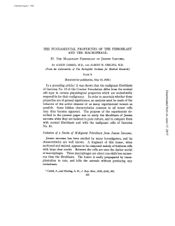 THE FUNDAMENTAL PROPERTIES OF THE FIBROBLAST