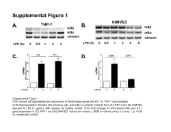 Supplemental Figures 1