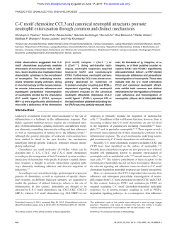 CC motif chemokine CCL3 and canonical neutrophil