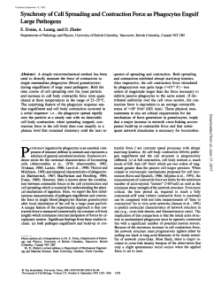 Synchrony of Cell Spreading and Contraction Force as Phagocytes