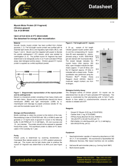 CS-MYS05 - Cytoskeleton, Inc.