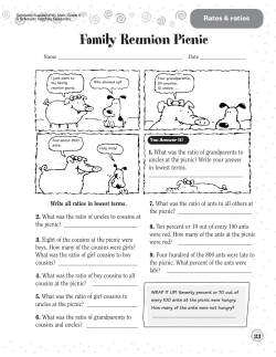 Family Reunion Picnic