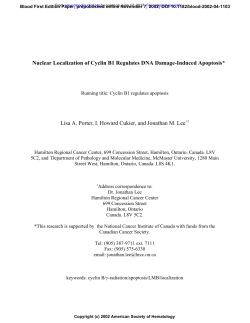 Nuclear Localization of Cyclin B1 Regulates DNA