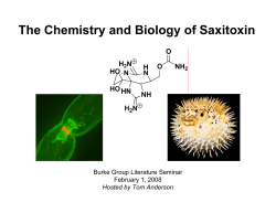 The Chemistry and Biology of Saxitoxin