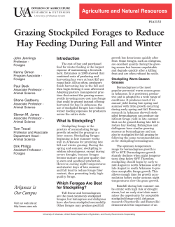 Grazing Stockpiled Forages to Reduce Hay Feeding During Fall and