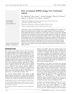 New enveloped dsRNA phage from freshwater habitat