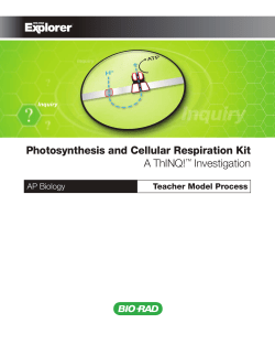 Teacher Model Process, Photosynthesis and Cellular Respiration Kit