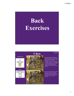 Back Exercises T Row