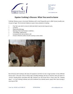 Equine Cushing`s Disease: What You need to know