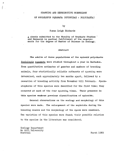 SPAWNING AND REPRODUCTIVE MORPHOLOGY OF