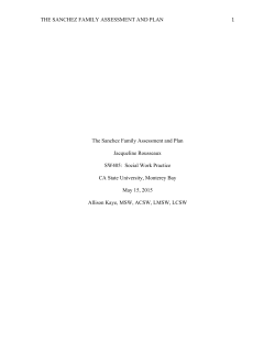 The Sanchez Family Assessment and Plan